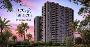 Assetz Trees and Tandem