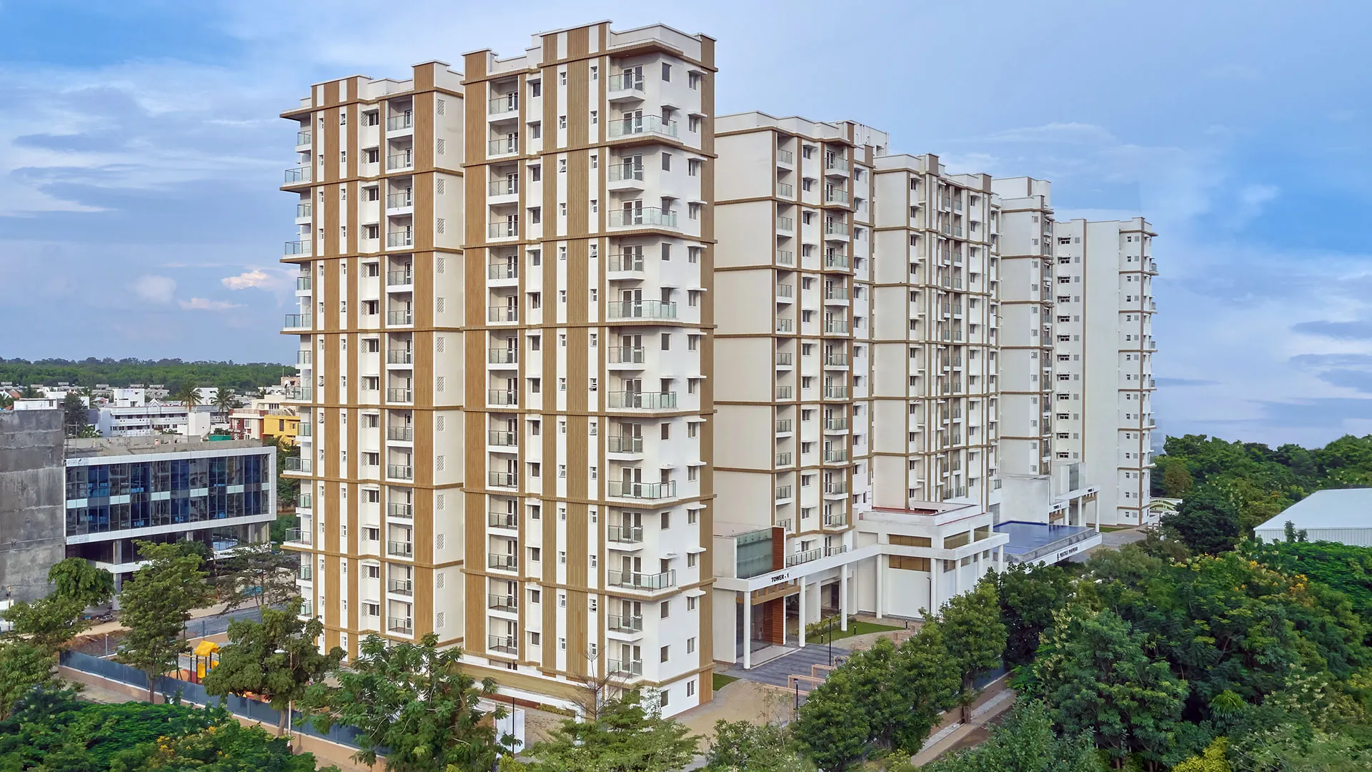 Prestige Pine Wood