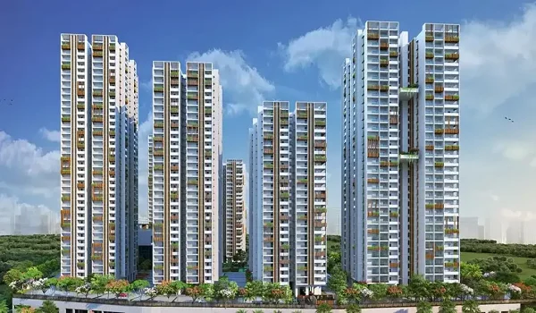 Purva Celestial